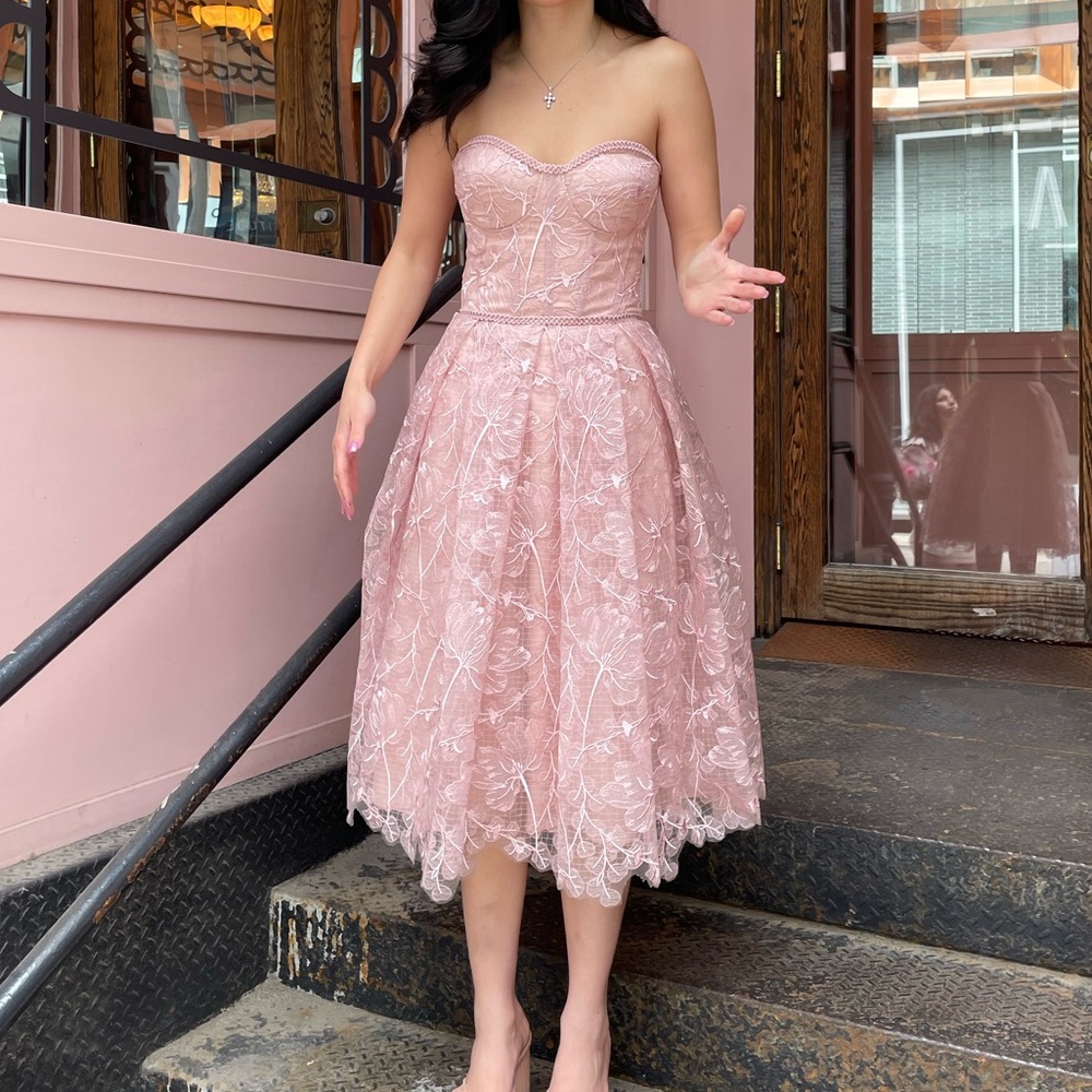 Nadine Merabi Olivia Blush Dress | Elegant Pink Lace Strapless Dress